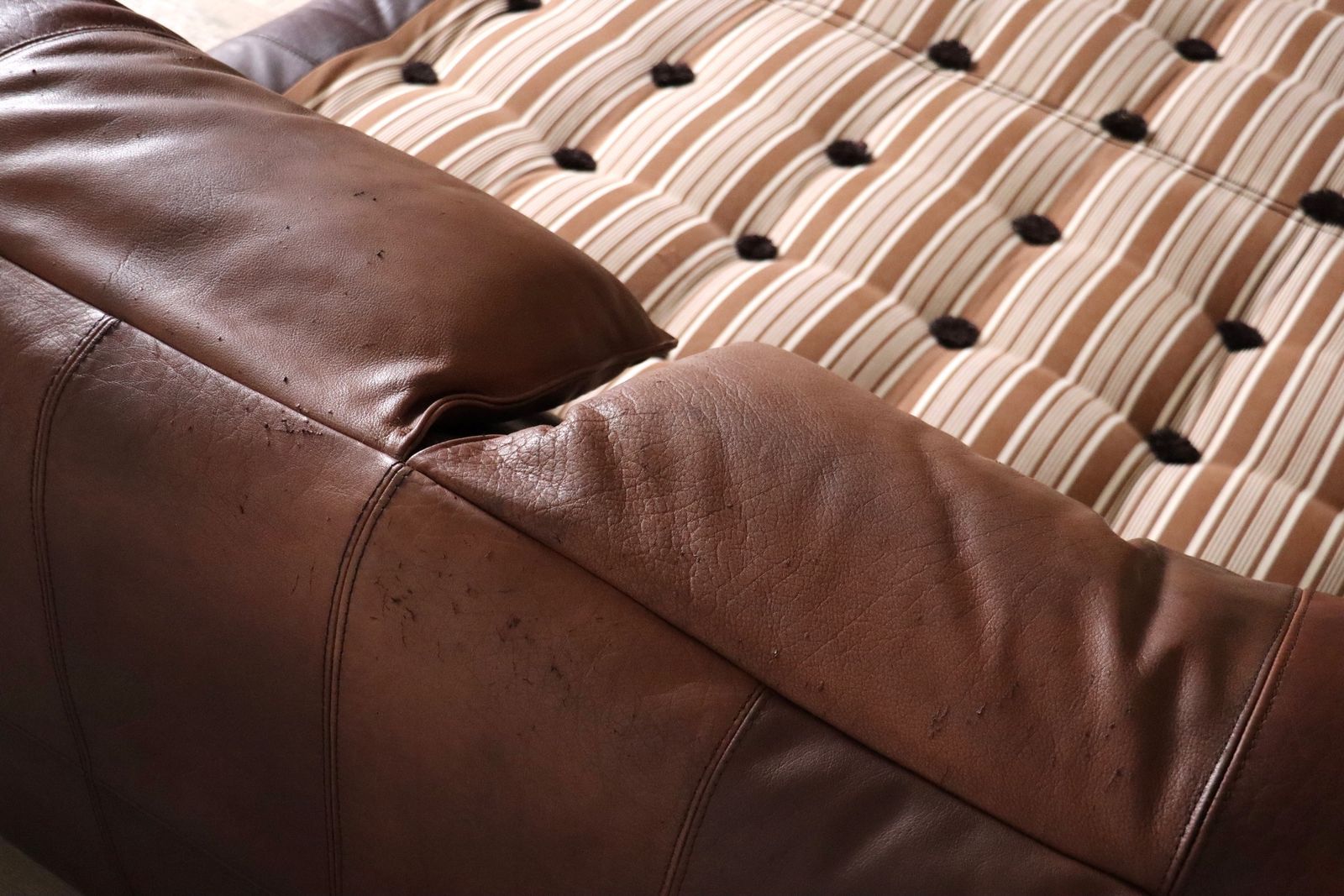 5696.0 Le Bambole Bed In Buffalo Leather Van Mario Bellini Voor B&B Italia, Jaren 1970 photo