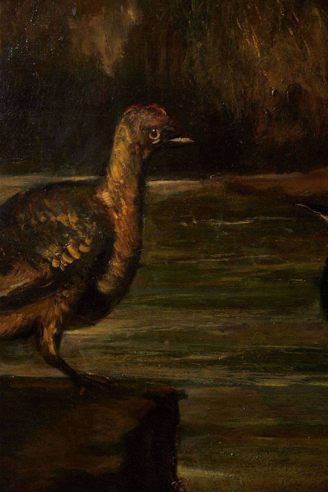 19th Century Very Large Oval Oil On Canvas Painting Of Birds photo vinterior