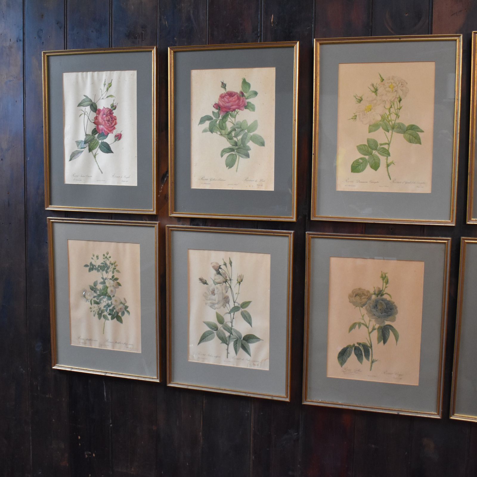 Art Vintage Mid Century Pierre Joseph Redoute Botanicals Rose Prints Set Of 8 photo