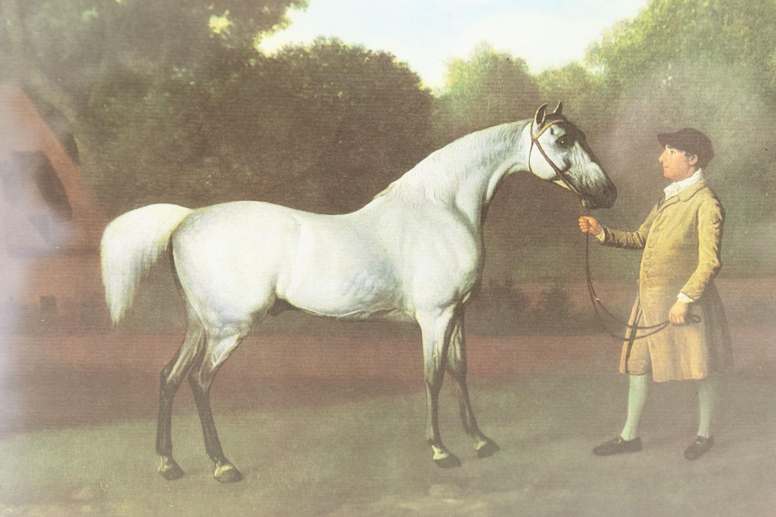 Art Framed Print Of Grey Horse "Gimcrack" By George Stubbs, Late 20th Century. photo