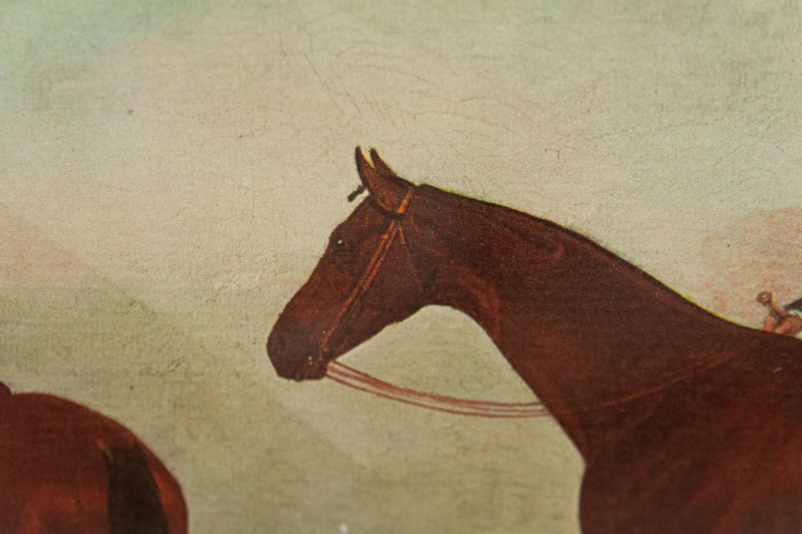 photo vinterior Framed Print Of Bay Horse "Phantom" By Benjamin Marshall, Late 20th Century.