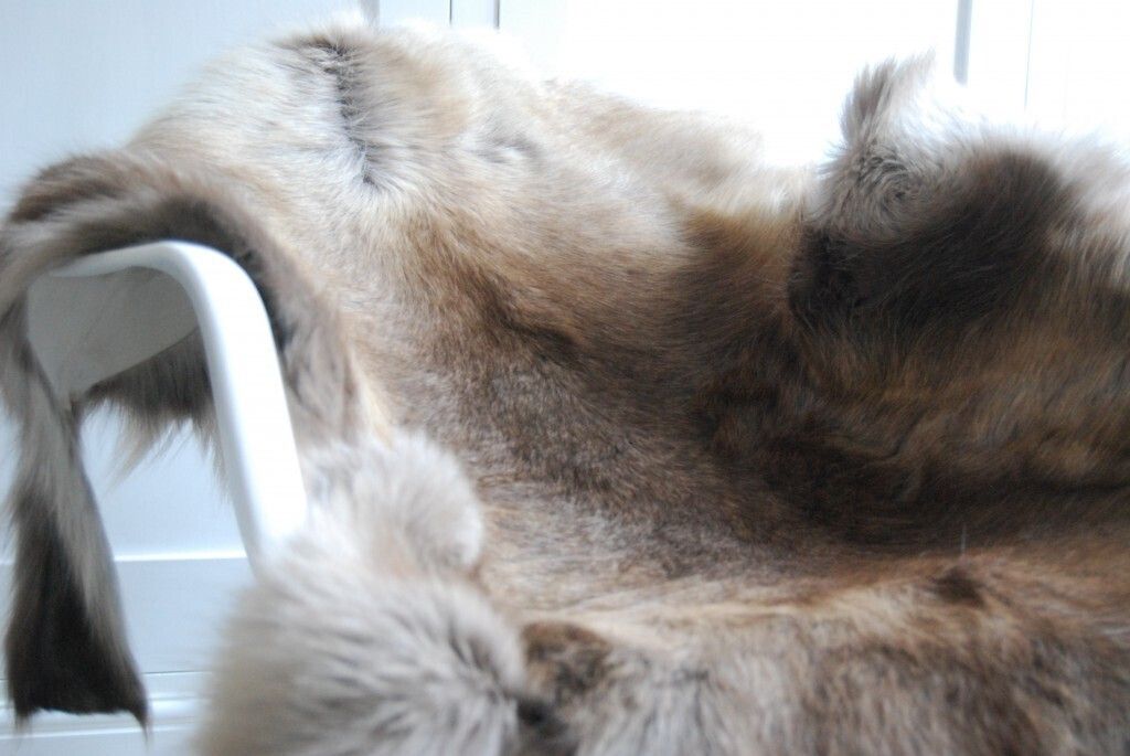 Huge Natural Eco Reindeer Rug, 21st Century photo for sale