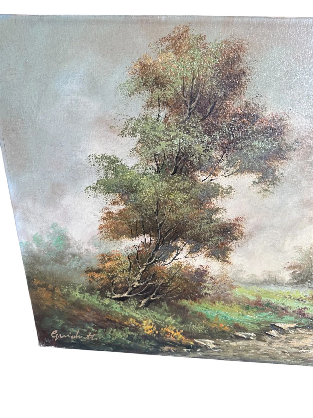Vintage Mid Century Unframed Oil On Canvas Landscape Painting photo Art