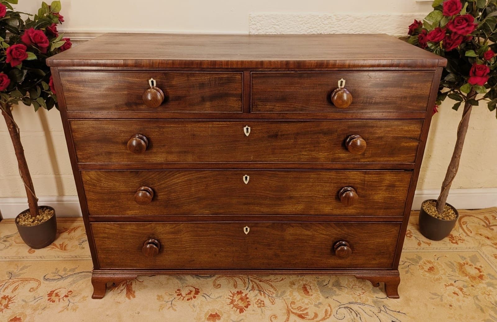 Geogian Early 19th Century Solid Mahogany Chest Of 2 Over 3 Graduating Drawers