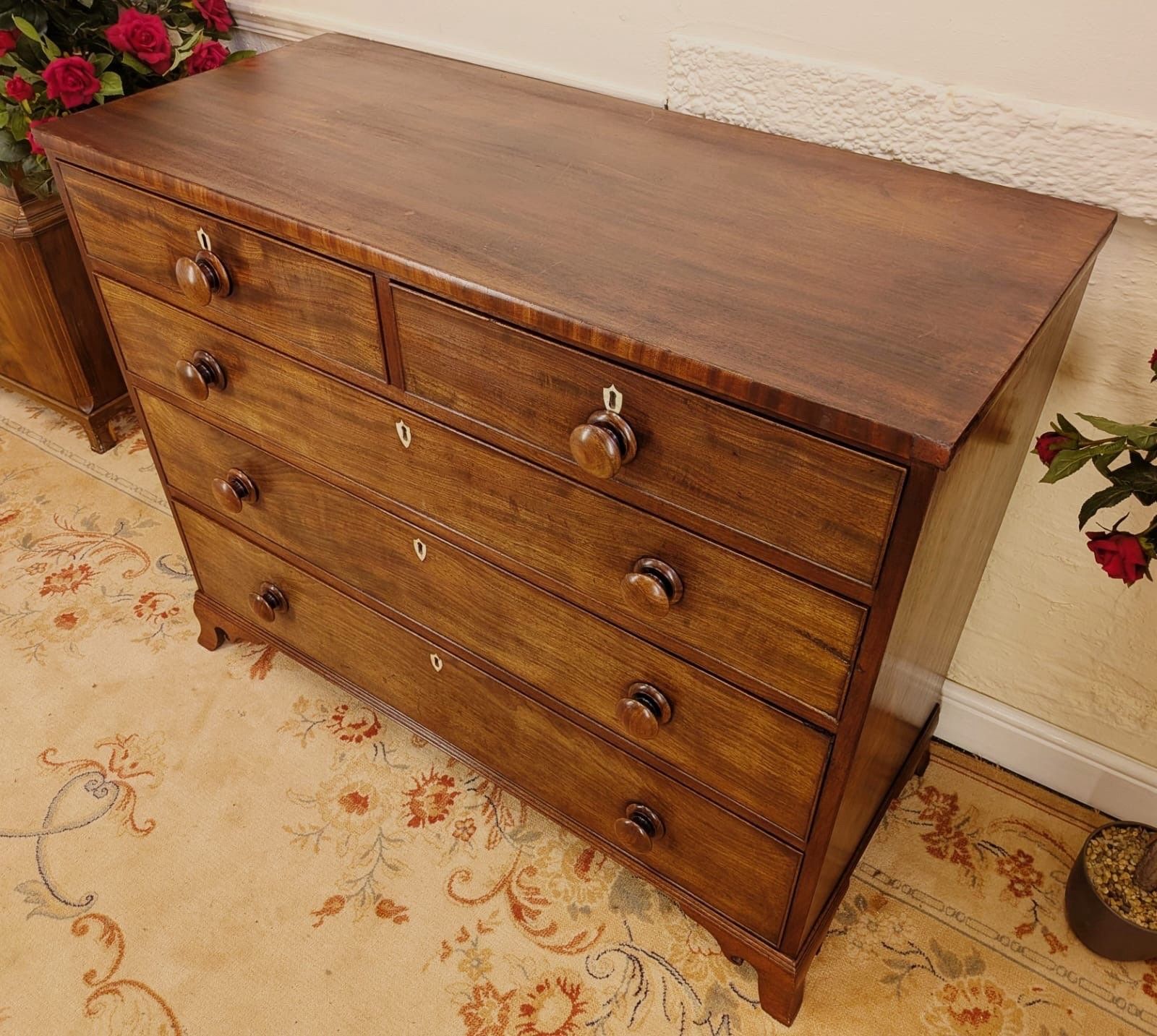 Geogian Early 19th Century Solid Mahogany Chest Of 2 Over 3 Graduating Drawers photo for sale