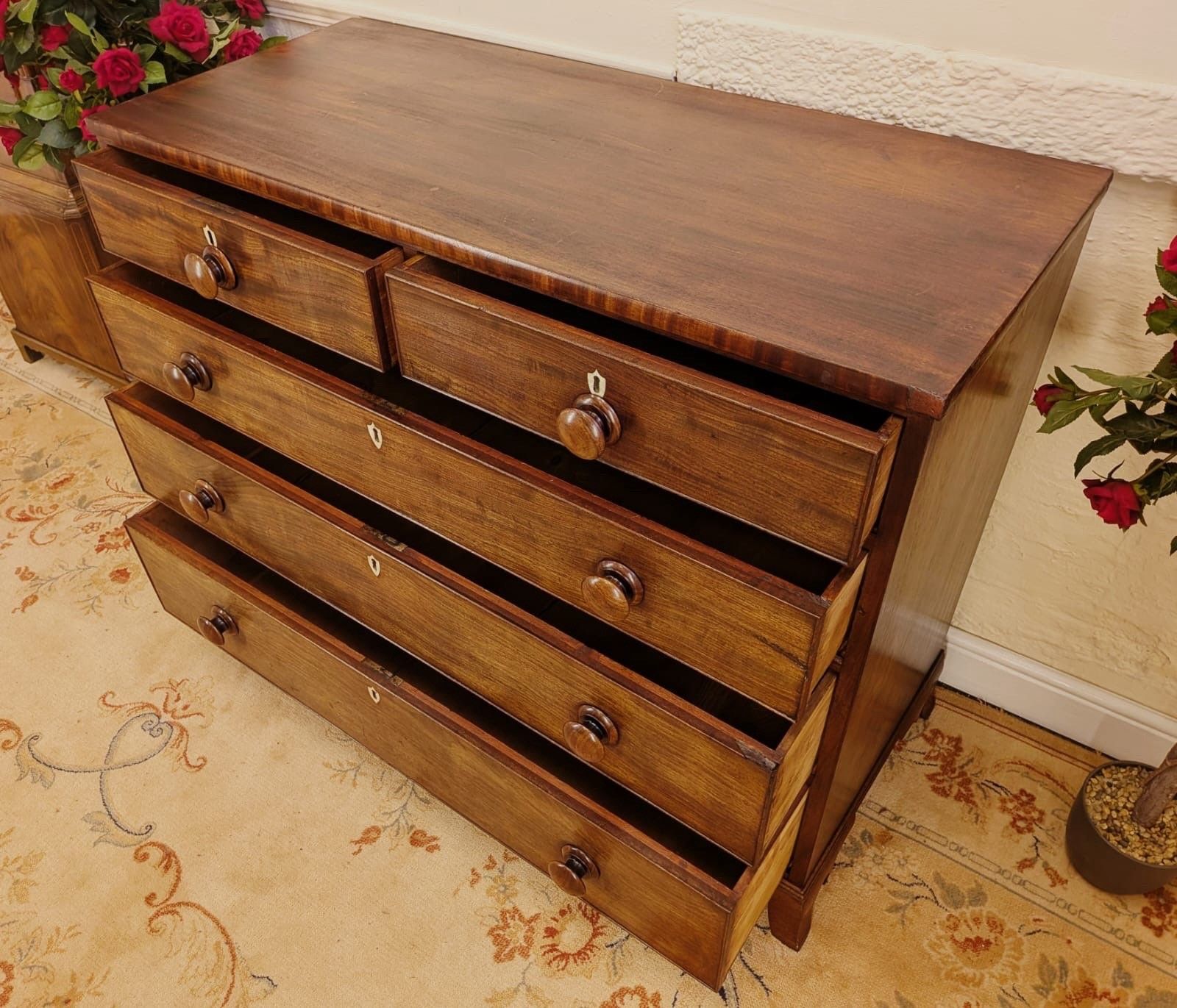 Geogian Early 19th Century Solid Mahogany Chest Of 2 Over 3 Graduating Drawers photo buy