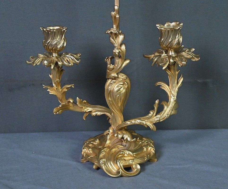 photo vinterior Gilt Bronze Screen Chandelier, Louis XV Style – Mid 19th Century