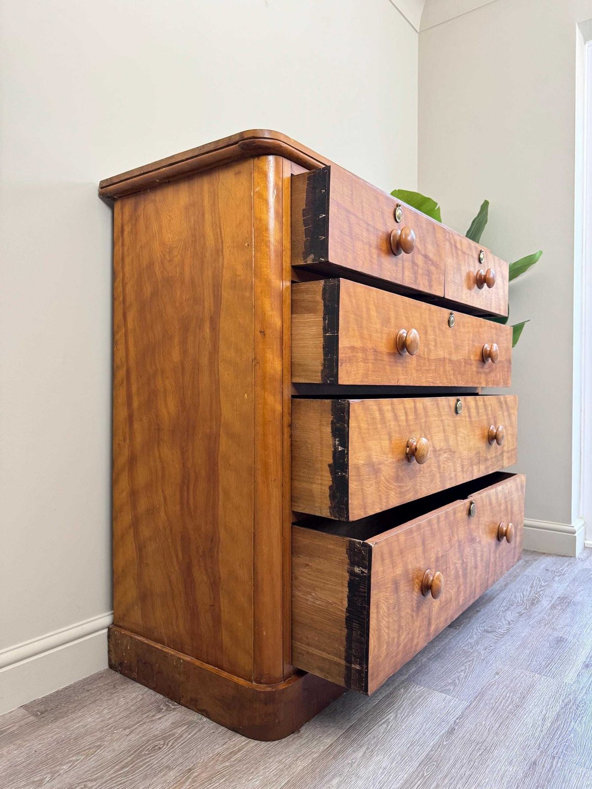 Antique Chest Of Drawers Solid Wood Vintage Furniture Satinwood Blonde photo 550.0