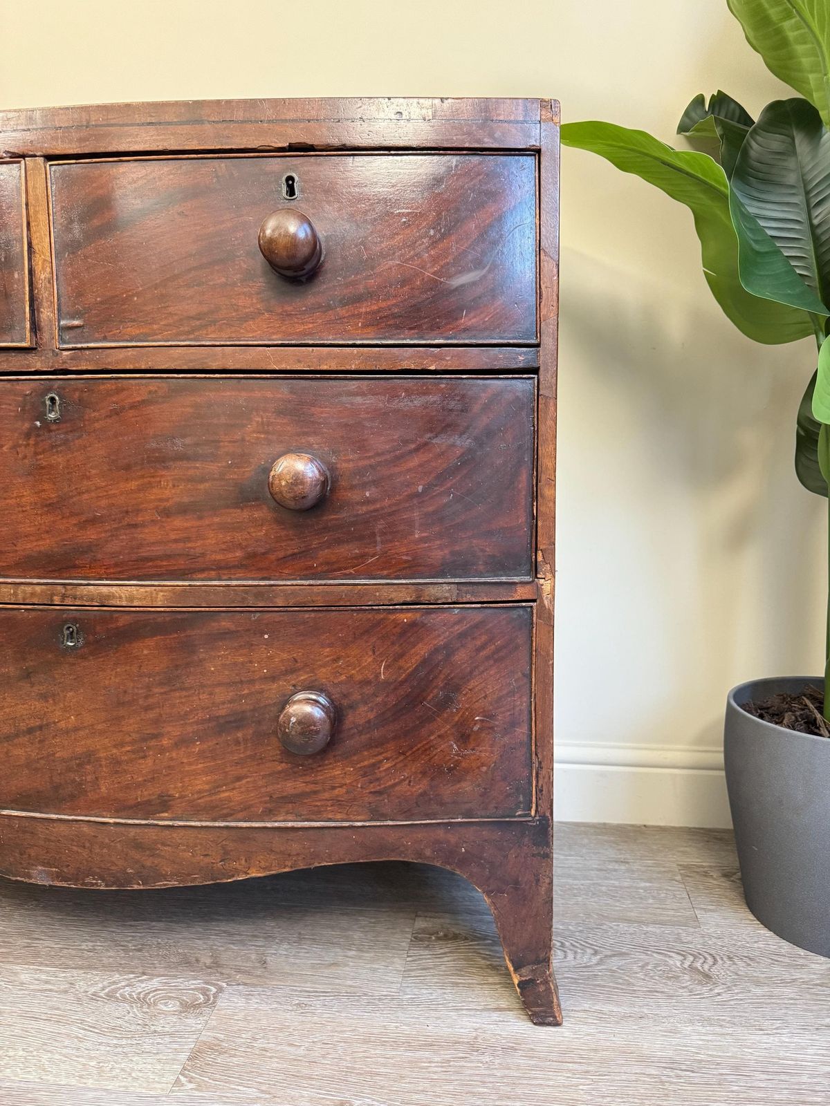 Antique Bow Fronted Small Solid Wooden Chest Of Drawers With Dovetail Ends Dark Wood photo 450.0