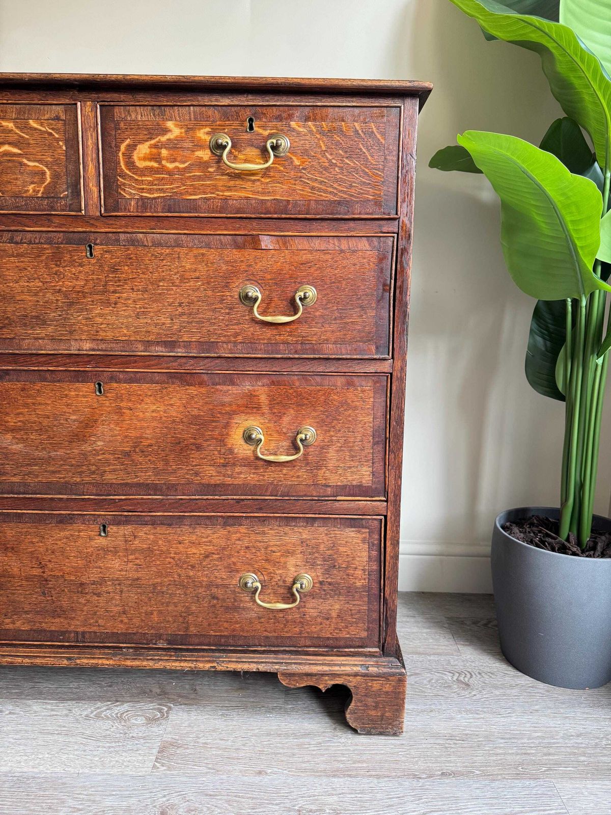 photo buy Solid Oak Wood Antique Georgian Chest Of Drawers With Metal Handles Dovetail Drawers