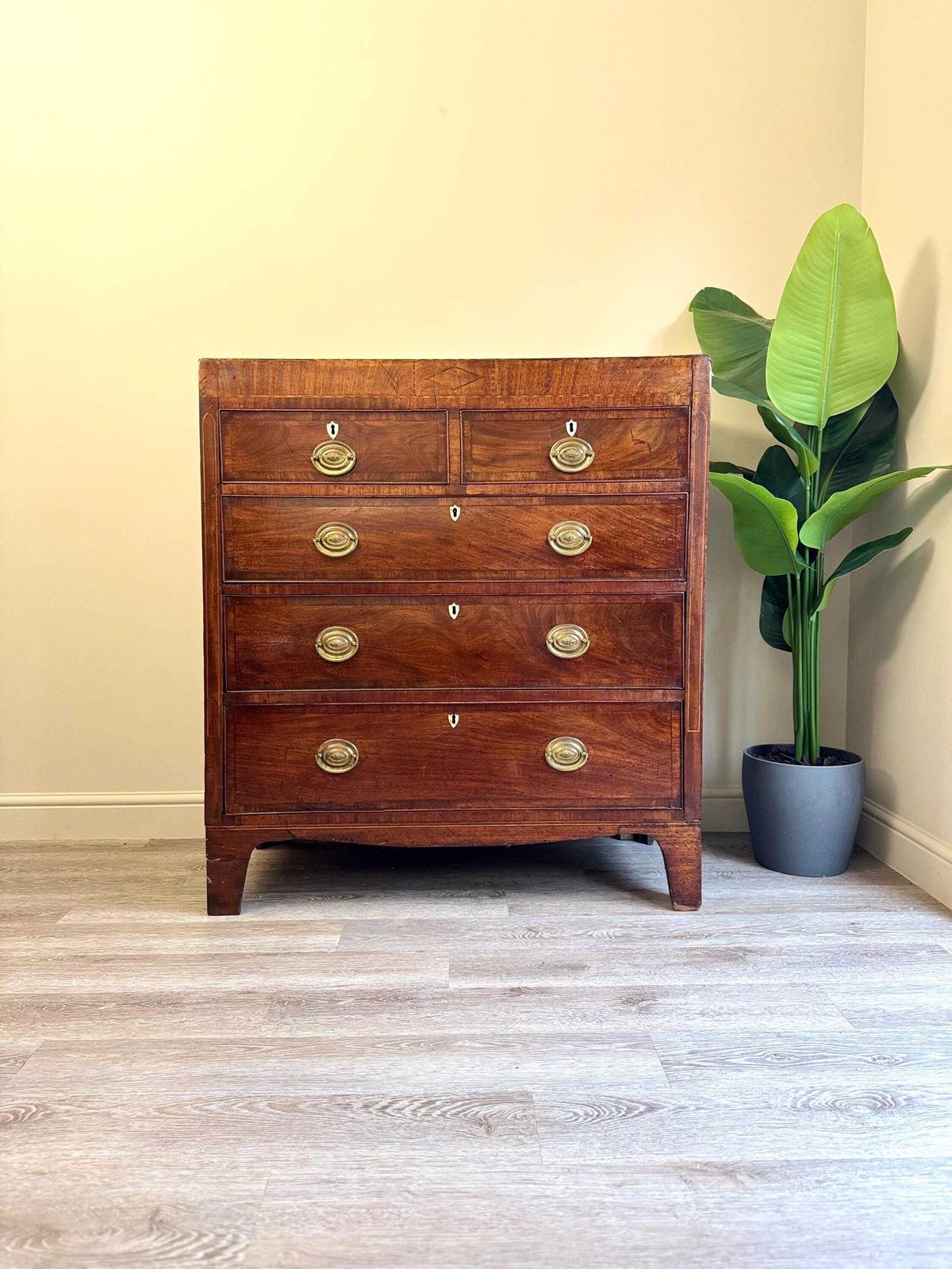 Antique Georgian Mahogany Solid Wood Chest Of Drawers   5 Drawer Dresser