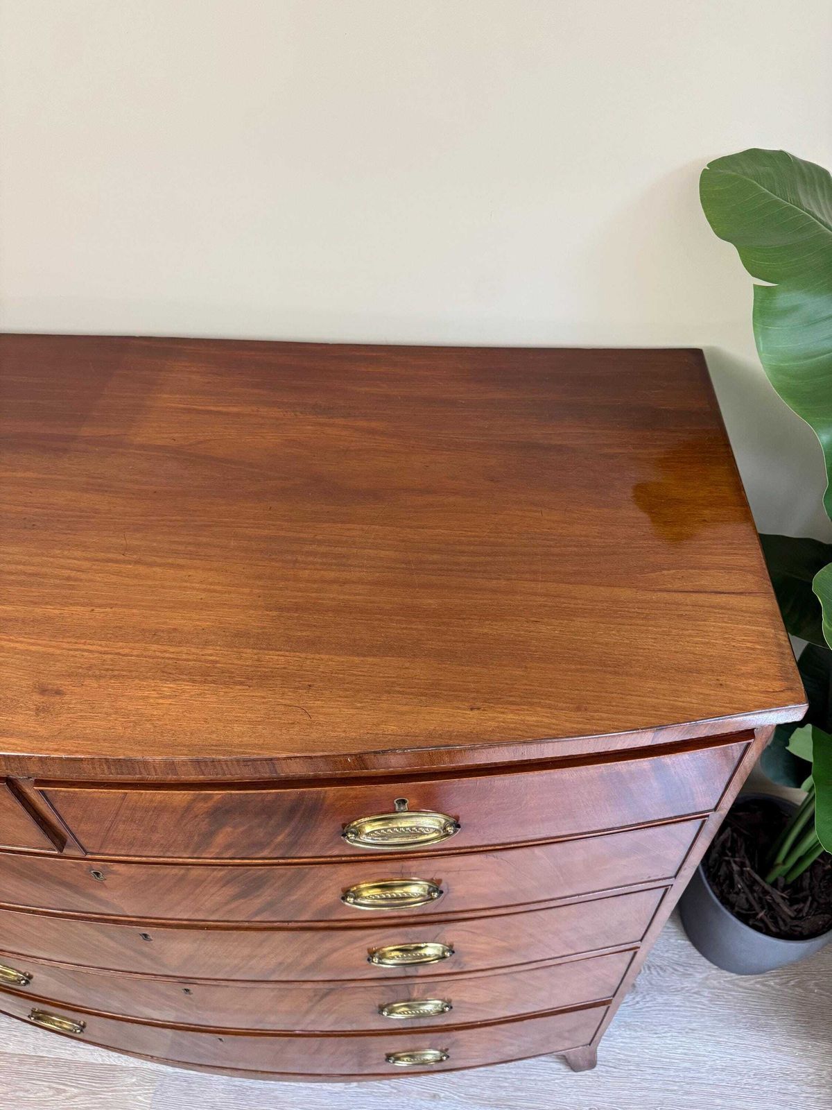 Antique Georgian Bow Fronted Solid Wood Extra Large Chest Of Drawers photo vintage