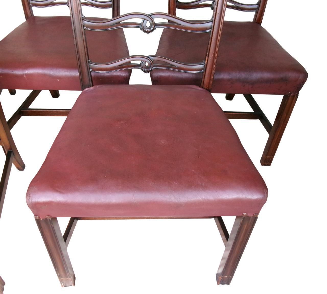 photo vintage 5 Late Georgian Mahogany Dining Chairs, Chippendale Style Ribbon Ladderback, Leather Seat, Inc Carver