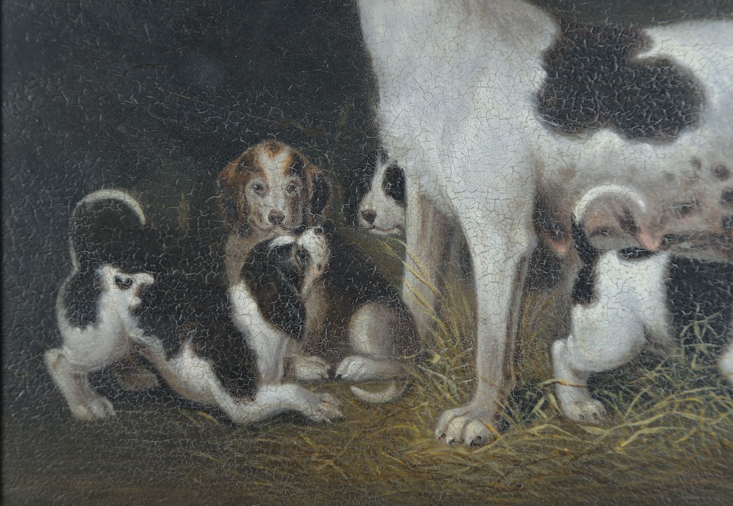 Small English Georgian Oil Painting Picture Of A Hound Dog “Lady” & Her Litter Attributed To Samuel Raven (Circa 1800) photo buy