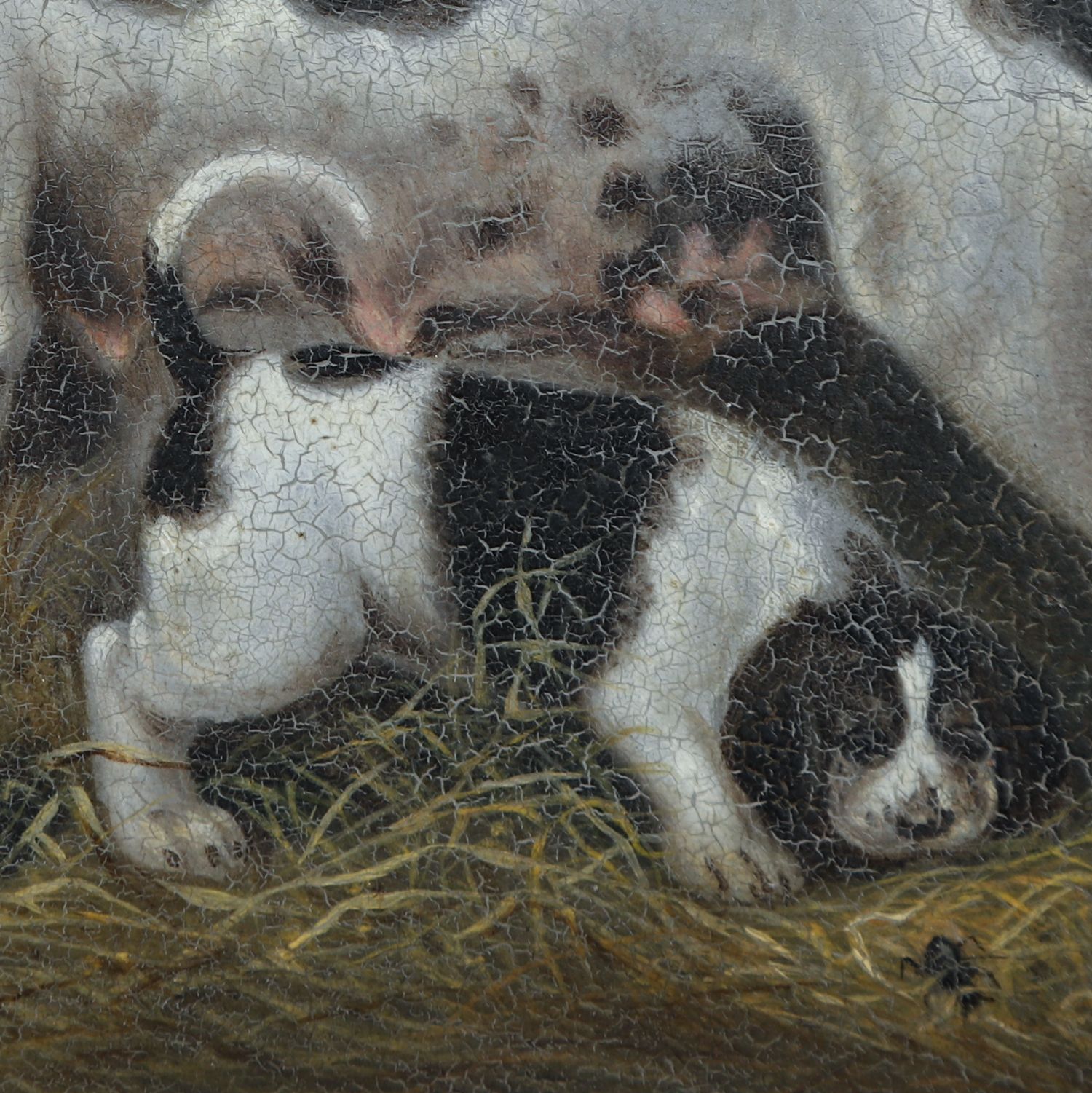 2595.0 Small English Georgian Oil Painting Picture Of A Hound Dog “Lady” & Her Litter Attributed To Samuel Raven (Circa 1800) photo