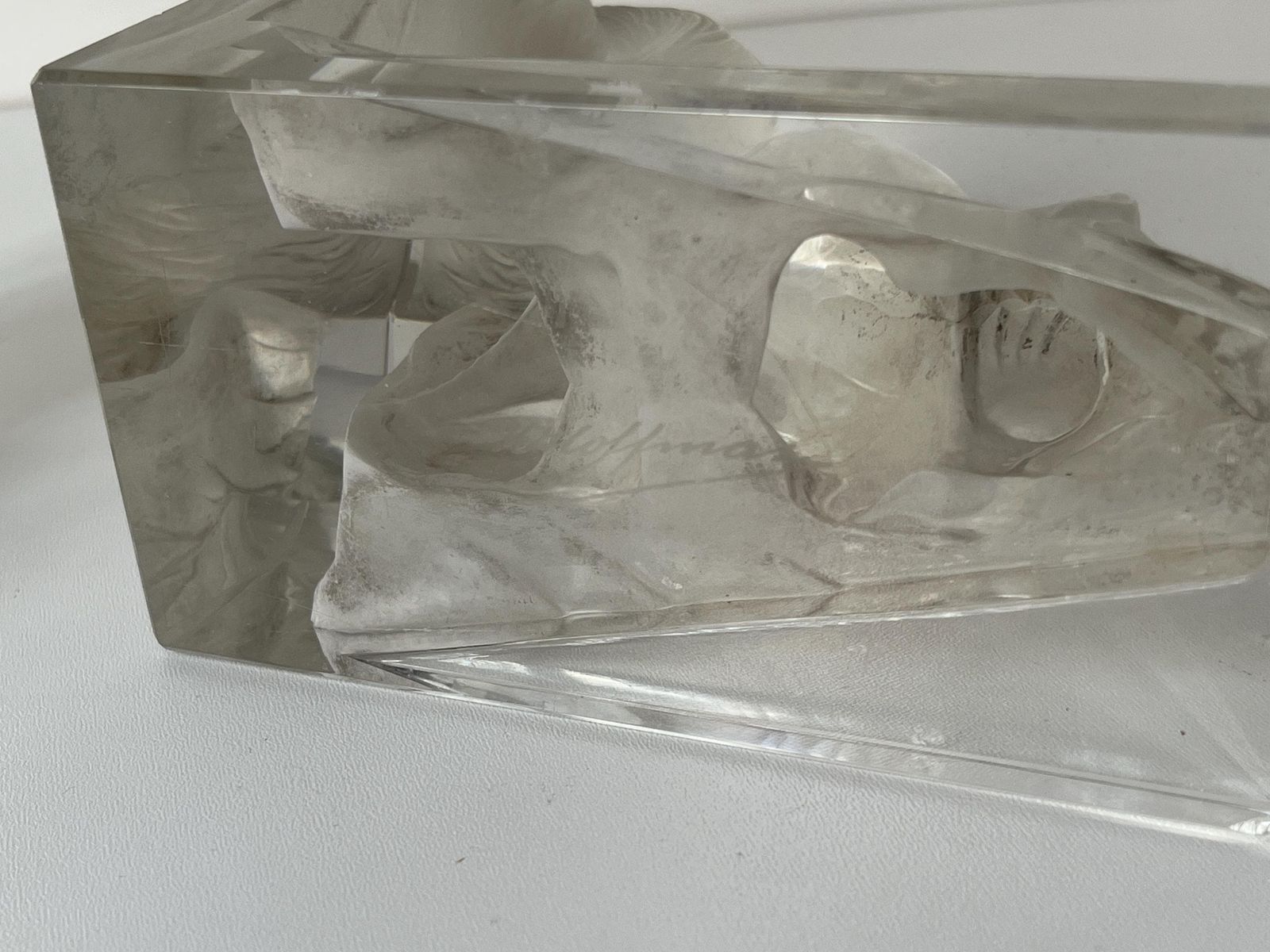 photo for sale Antique Pair Of 1930s Squirrel Bookends Signed H.Hoffmann, Czech Frosted And Clear Glass Paperweights