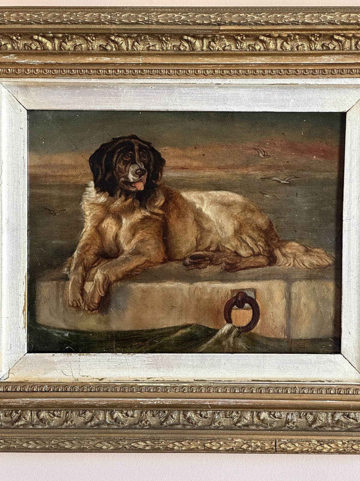 19th Century Dog Portrait   Oil Painting   Newfoundland Dog After Landseer photo buy