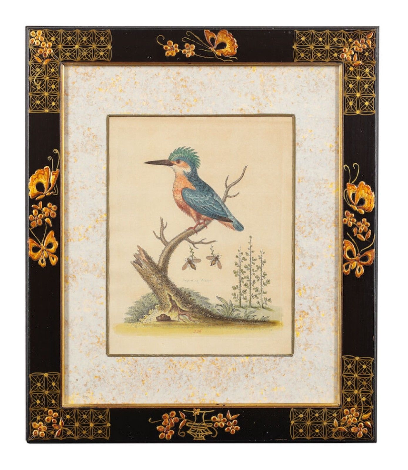 12 Antique 1740 George Edwards Hand Coloured Ornithological Engravings Of Birds photo furniture