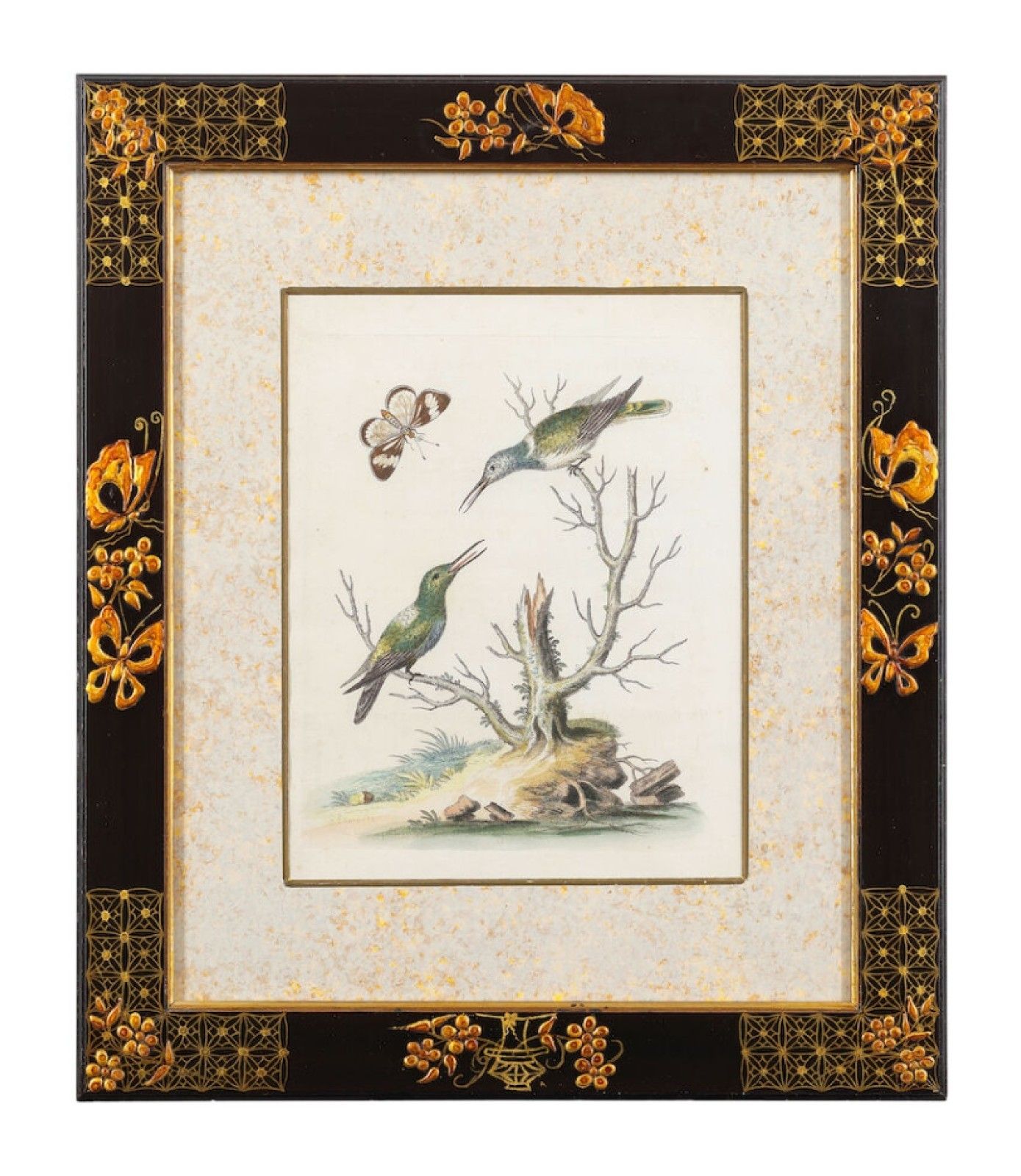 Art 12 Antique 1740 George Edwards Hand Coloured Ornithological Engravings Of Birds photo