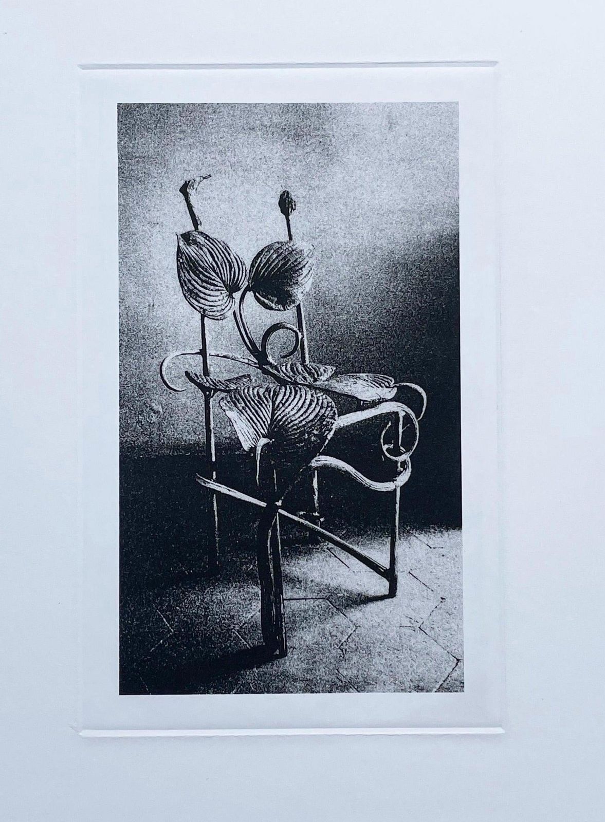 Claude Lalanneclaude Lalanne (1925 2019) "Chaise Horta", Heliogravure.2004 photo vinterior