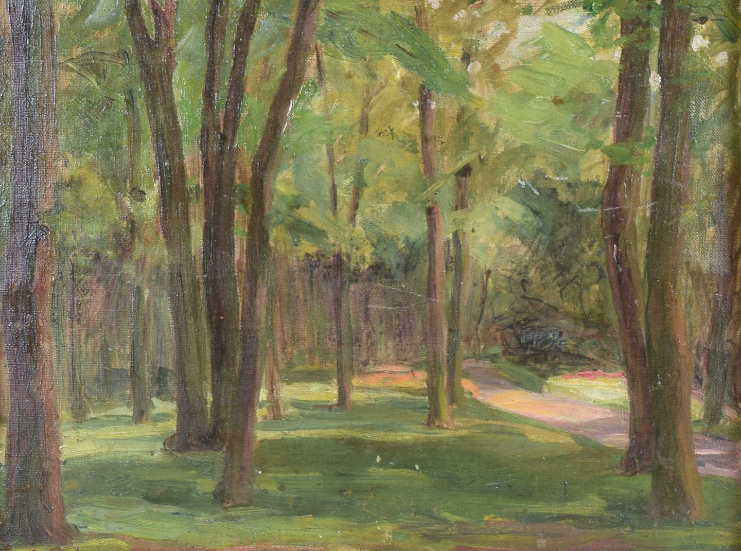 French Artist. Forest Scene From Toulon. Oil On Canvas. Dated 1907