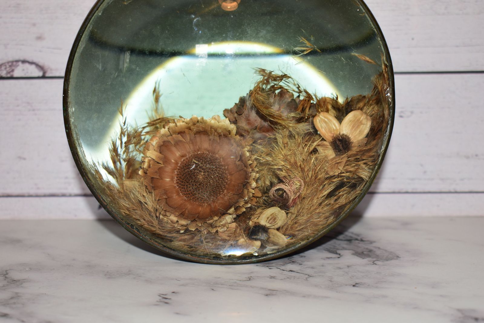 Victorian Botanical Diorama Of Bubble Glass With Dried Flower Display photo vintage
