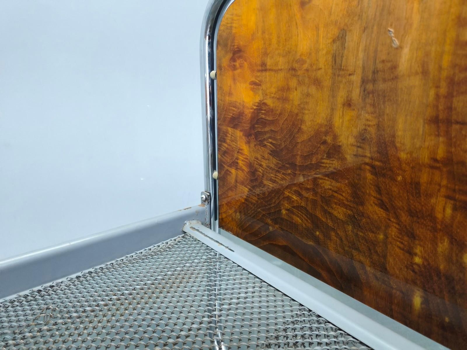 Furniture Bauhaus Tubular Steel Bed With Walnut Veneer Panels, 1930s photo