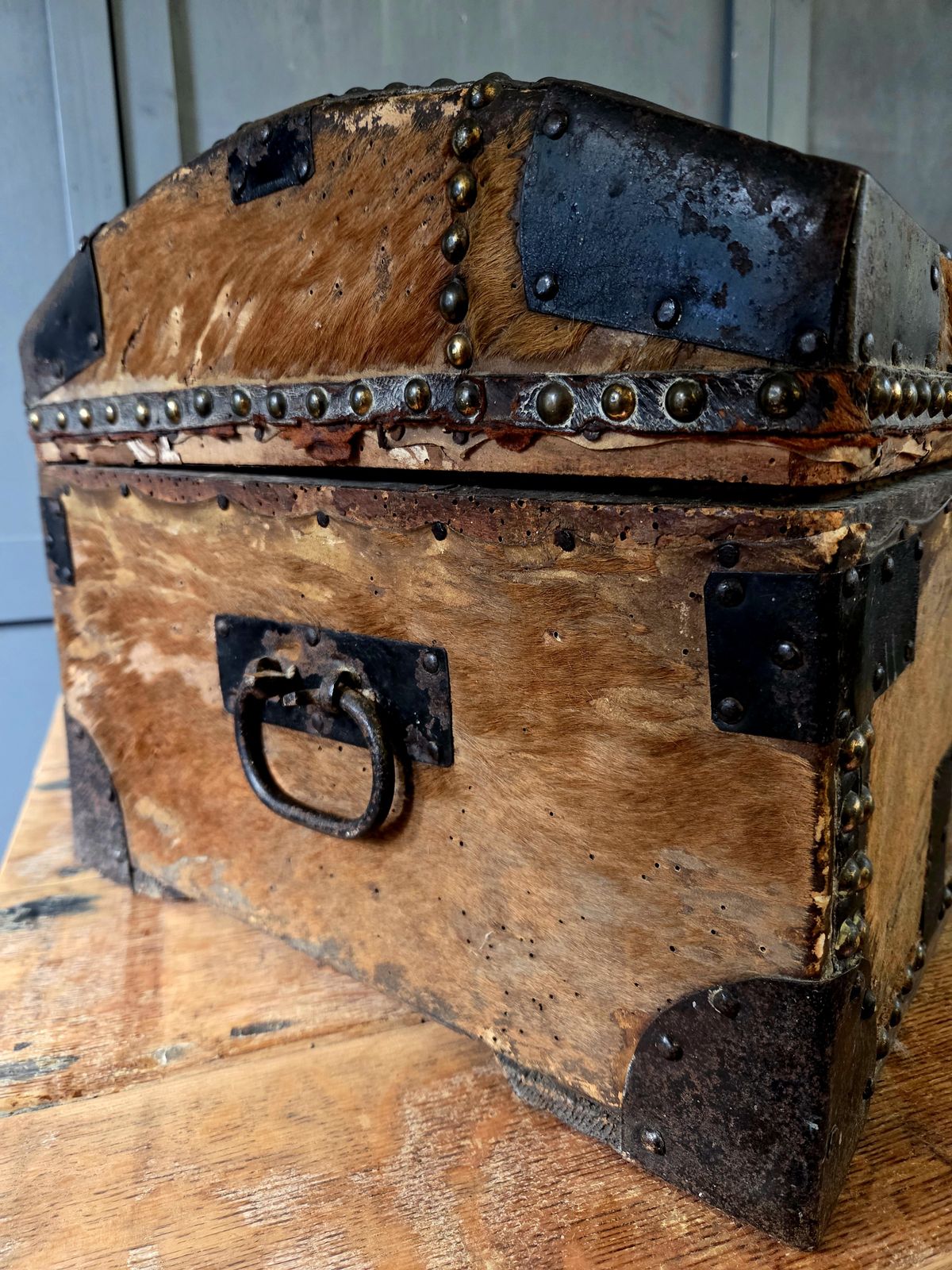 Early 19th Century Georgian Hair On Hide Dome Top Travel Trunk   Chest C.1800 photo vinterior