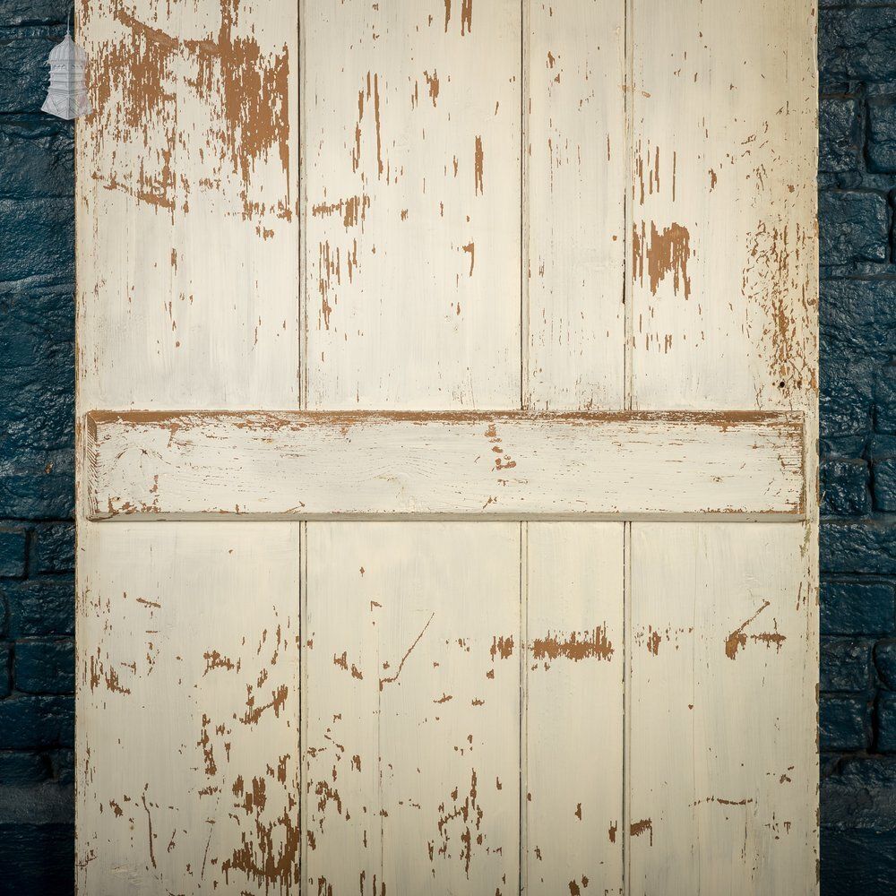 Home Fixtures Plank & Ledge Door, White Painted Beadboard photo
