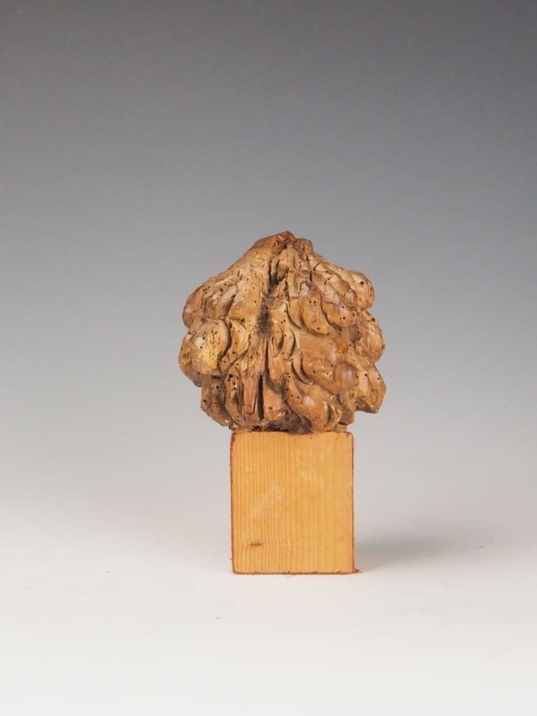 850.0 16th Century Carved Wooden Head Of A Philosopher / Religious Figure photo