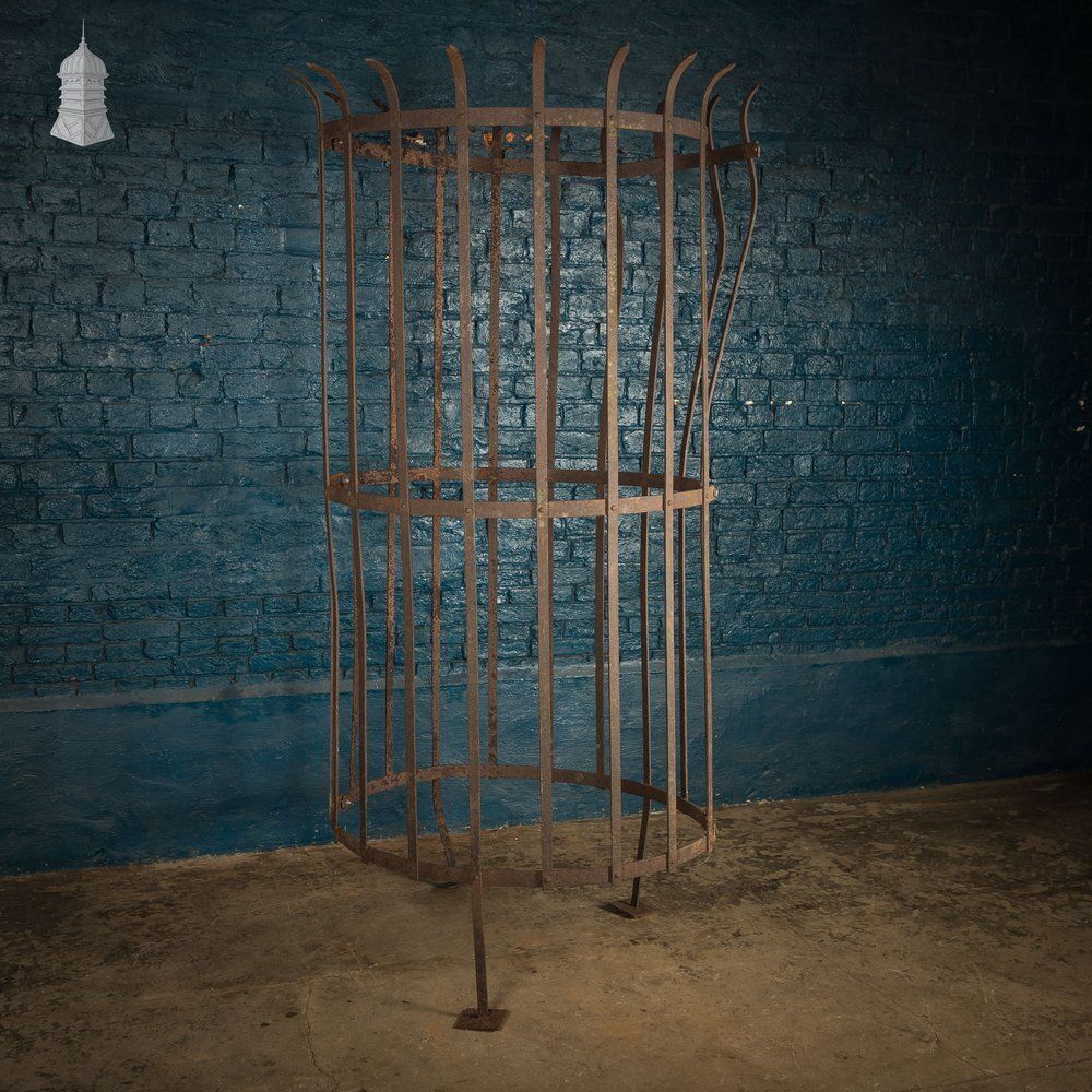 Tree Guard, Wrought Iron photo Garden Decor