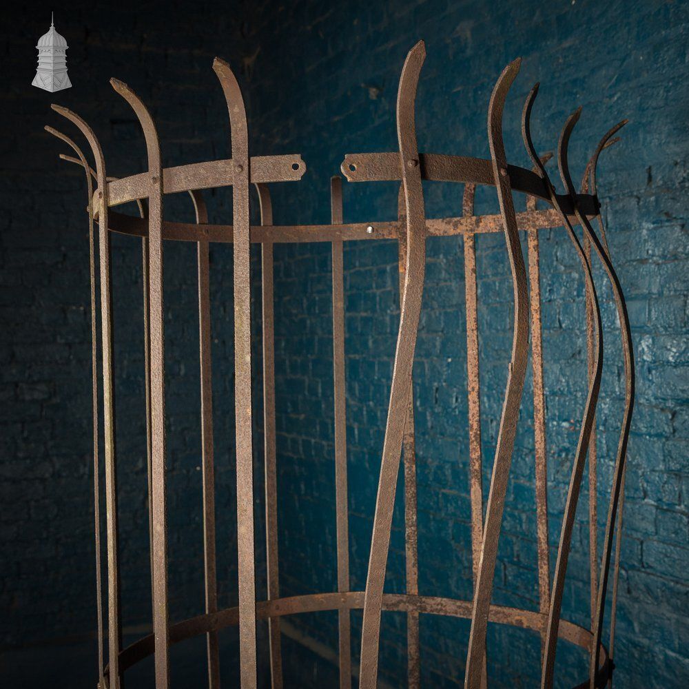 Tree Guard, Wrought Iron photo 900.0