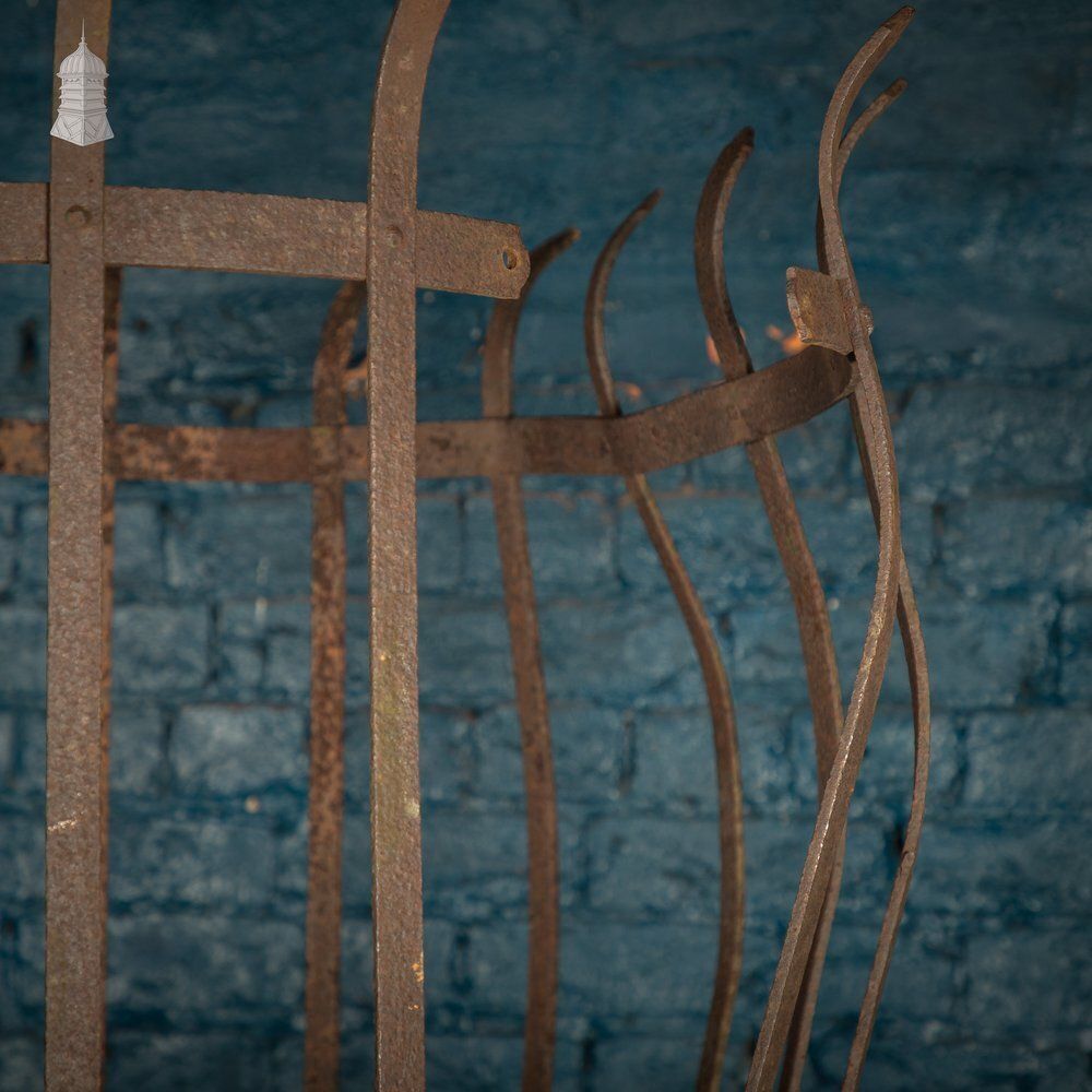 900.0 Tree Guard, Wrought Iron photo