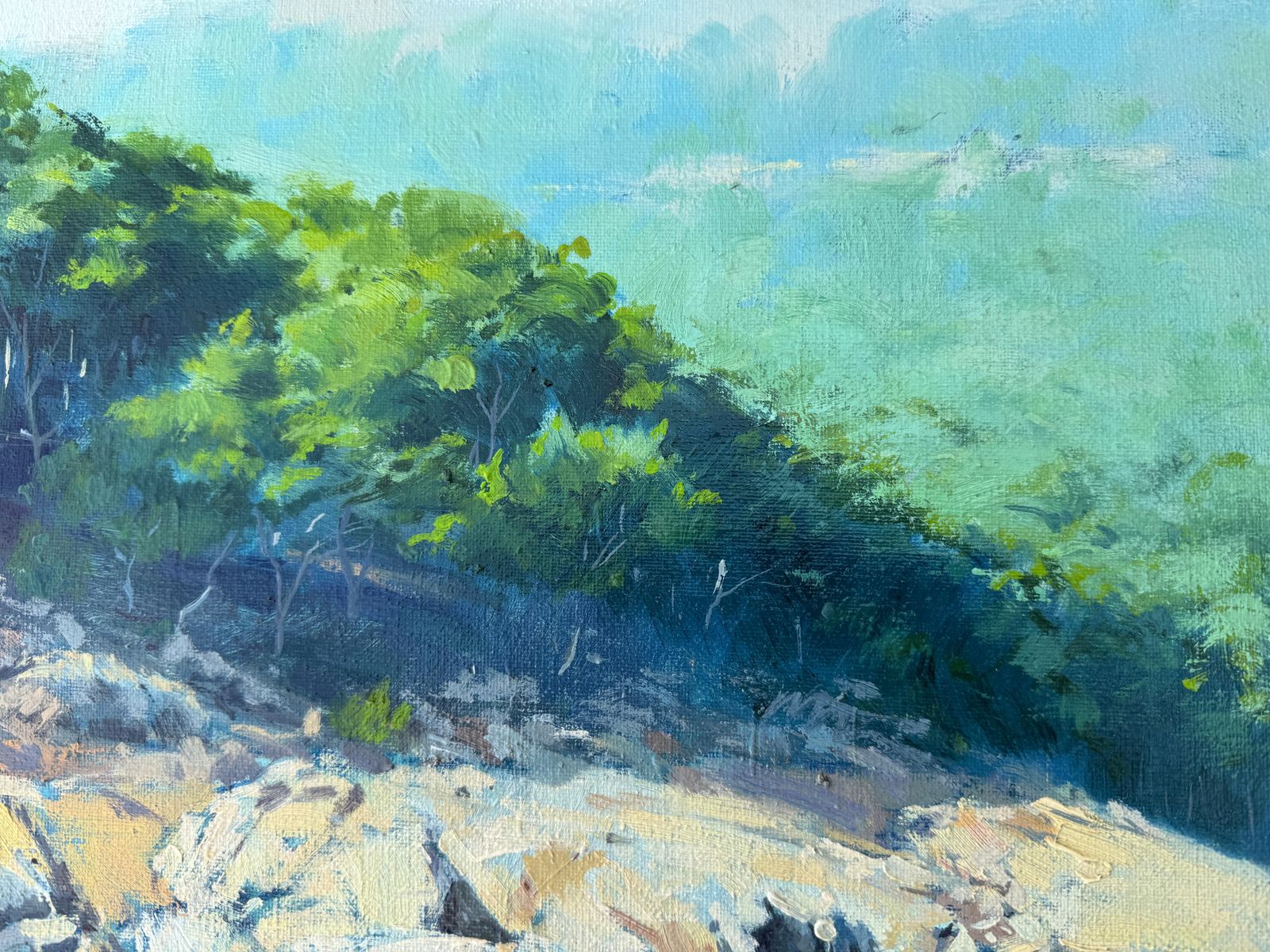 Jordi Rosich Rojas Mediterranean Coastal Landscape Oil Painting, Costa Brava Begur Seascape Spain 1980 photo Art