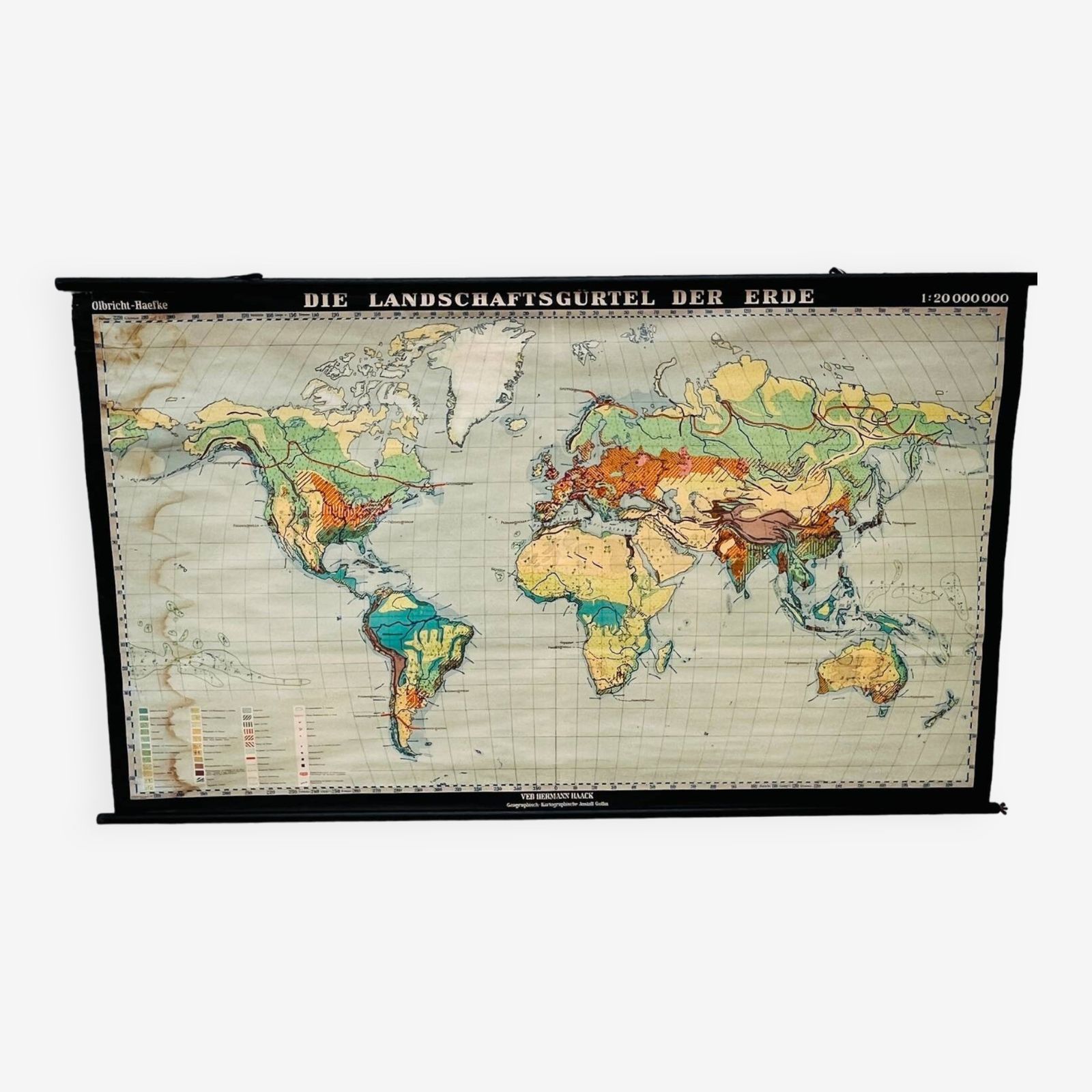 Educatieve Kaart "Types Of Landscapes Of The Earth"