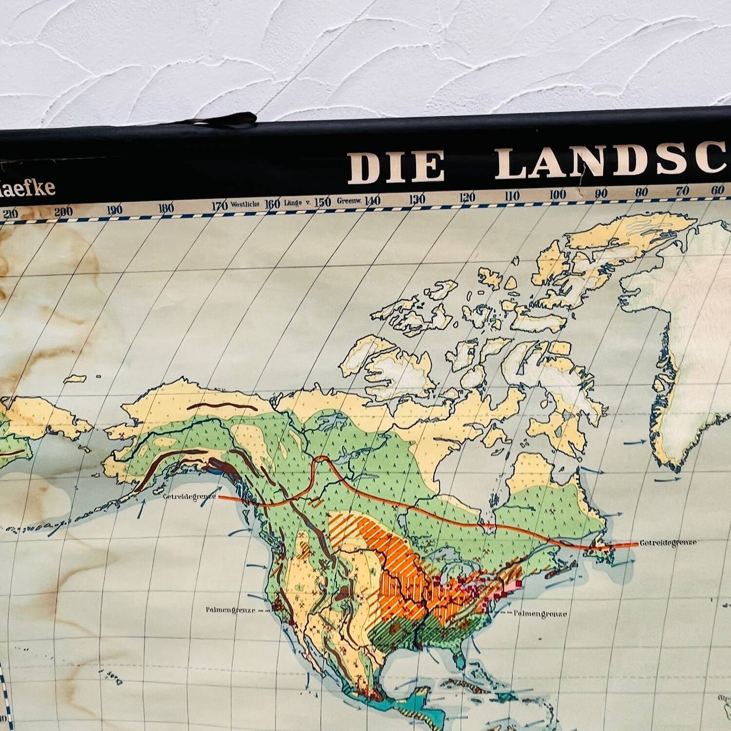 Educational Map “Types Of Landscapes Of The Earth” photo Art