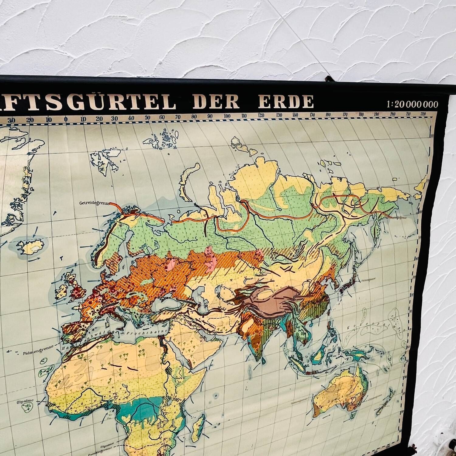 Educatieve Kaart "Types Of Landscapes Of The Earth" photo buy