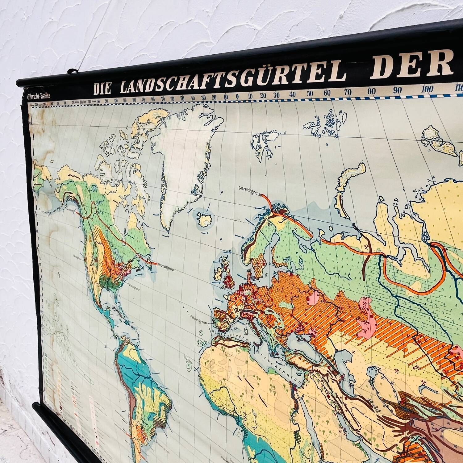 120.0 Educational Map “Types Of Landscapes Of The Earth” photo