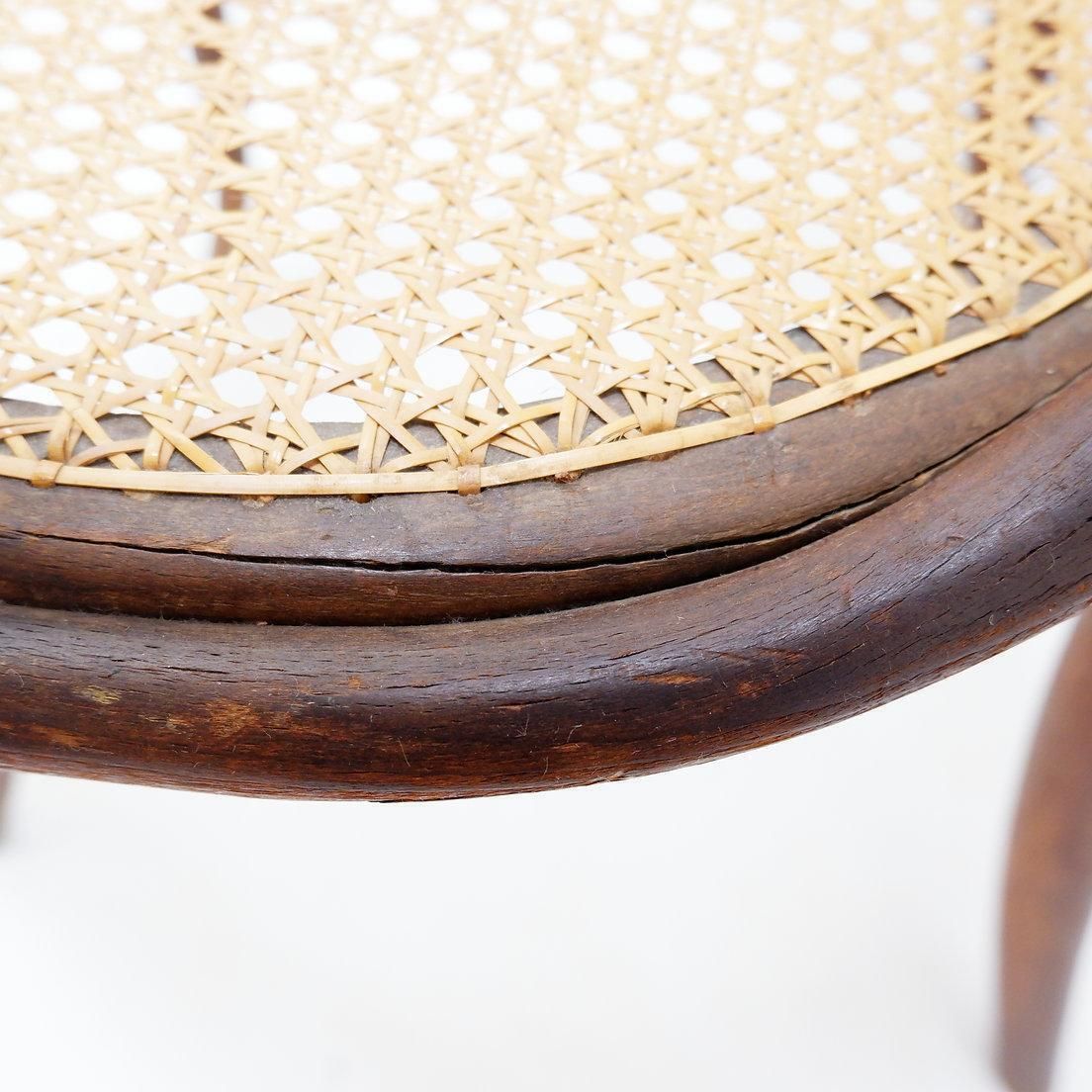 photo for sale Thonet Style Bentwood Chair, Stained Beech, Art Deco, 1950s Design
