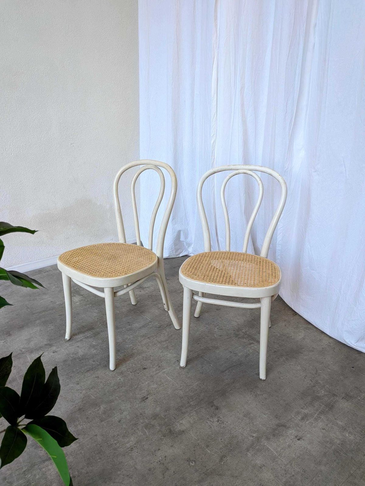 Set Of 2 Vintage White Bentwood Chairs, Thonet Style Cane Seat