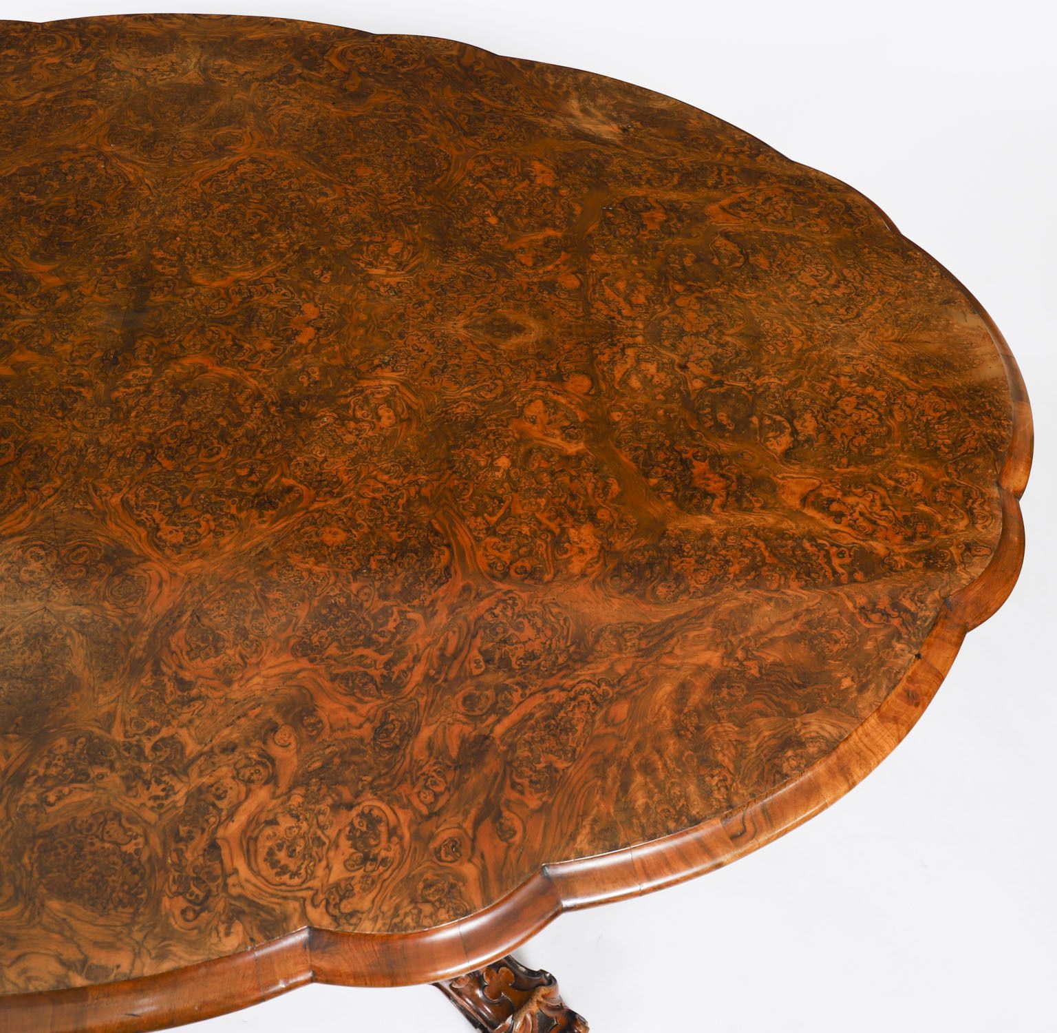 Antique Burr Walnut Oval Tilt Top Loo Dining Table Circa 1860 19th Century photo 1750.0