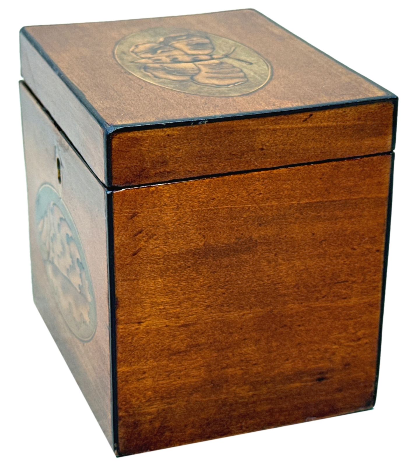Georgian 18th Century Satinwood Tea Caddy Butterfly Inlay (England, Circa 1790) photo furniture