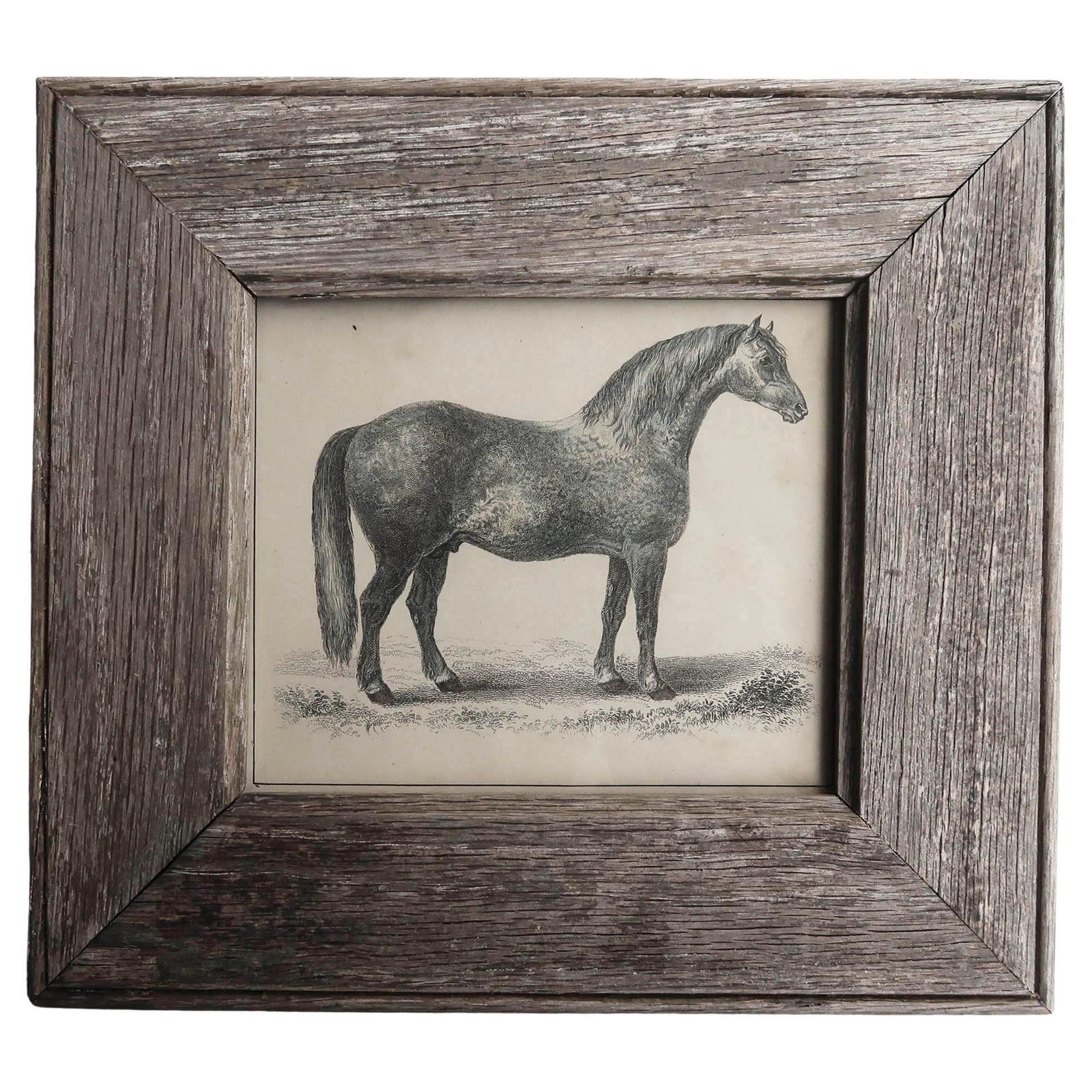 Original Antique Framed Print Of A Grey Racehorse, 1847