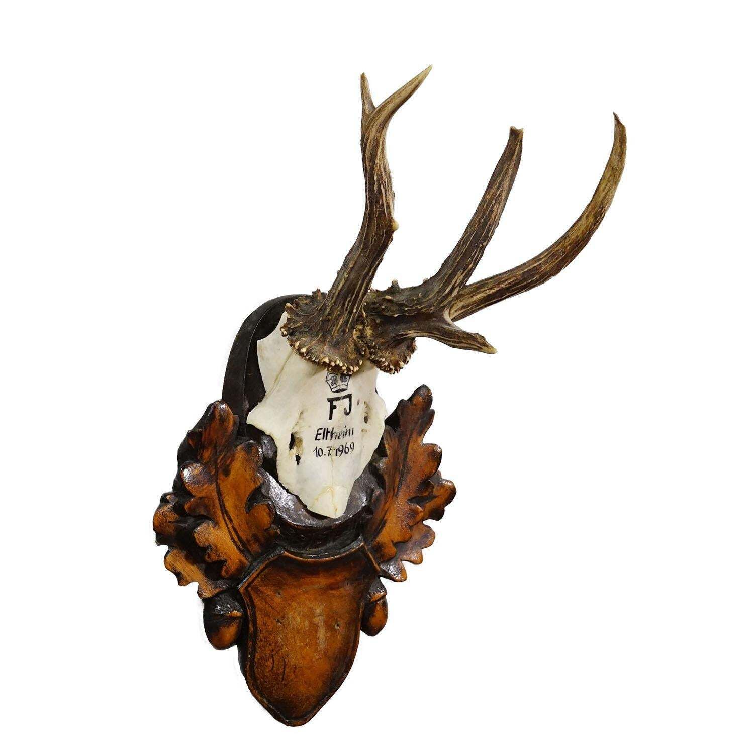 Hertentrofee Van Franz Joseph, Prins Van Thurn Und Taxis, 1969 photo furniture