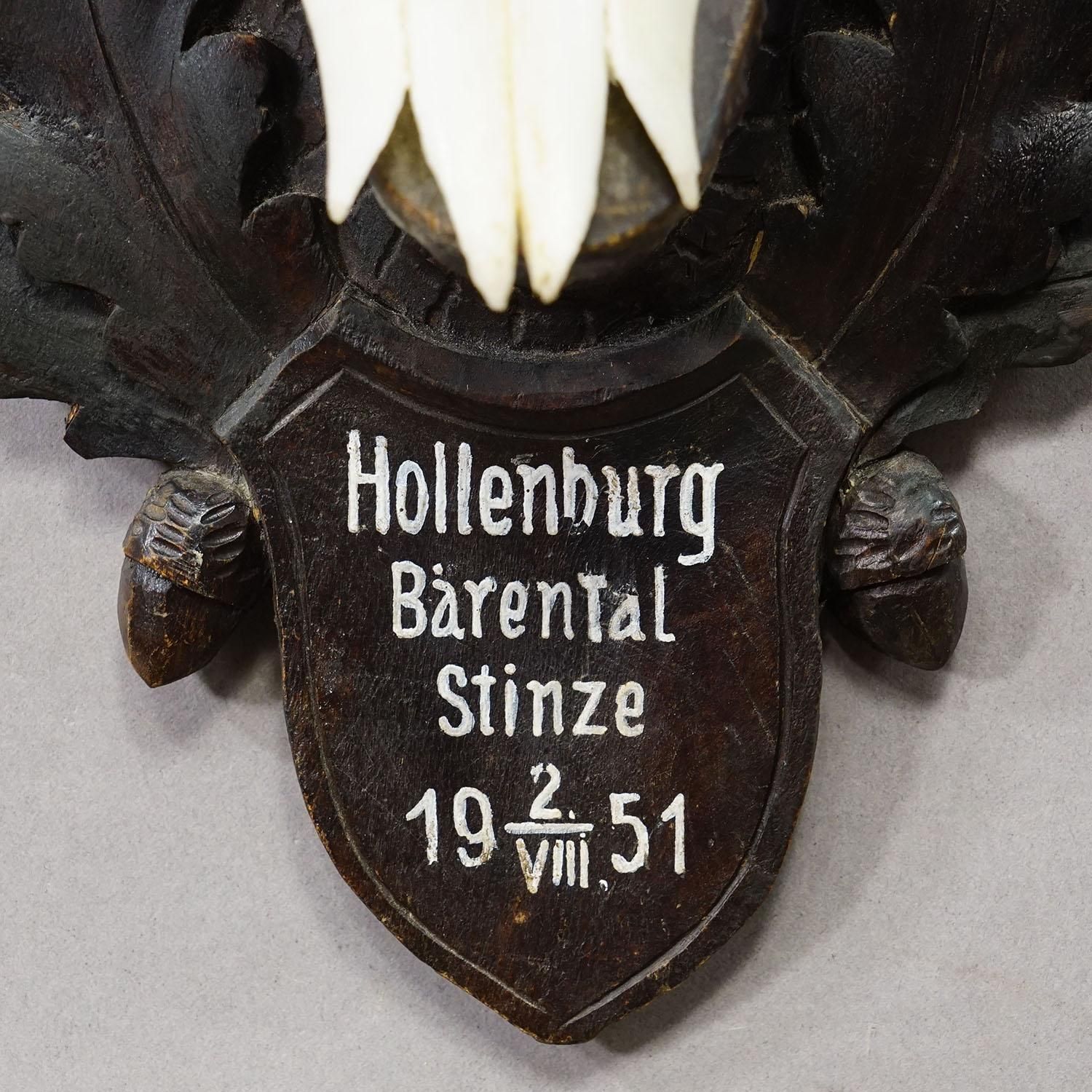 Zwarte Woud Gems Trofee Op Gesneden Houten Plaquette, Oostenrijk 1951 photo vinterior