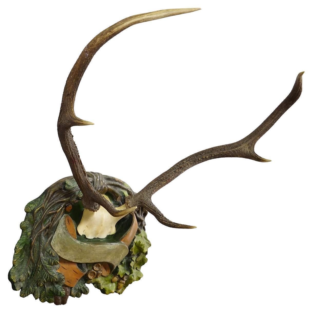 Antique Black Forest Deer Trophy On Plaster Plaque, Ca. 1920s