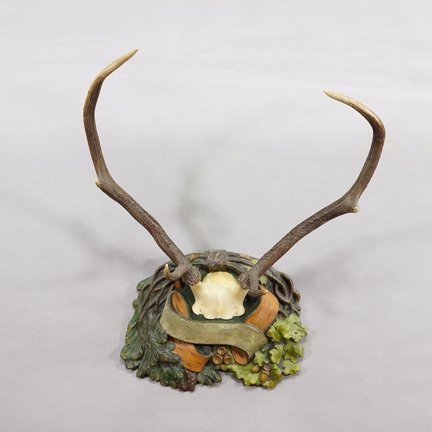 Antique Black Forest Deer Trophy On Plaster Plaque, Ca. 1920s photo Home Decor