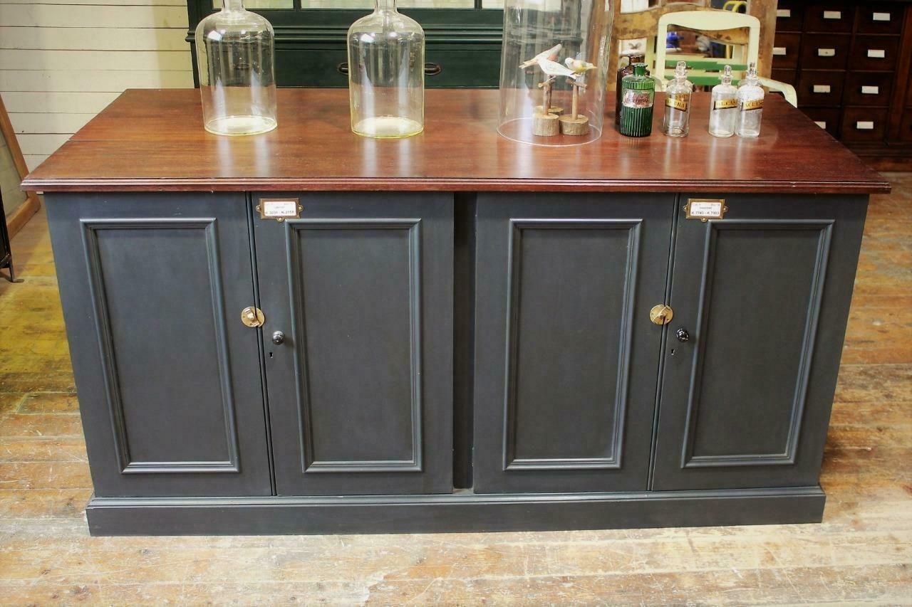 Shop Counter/Museum Cabinet/Kitchen Island From Cambridge Museum Of Zoology photo furniture