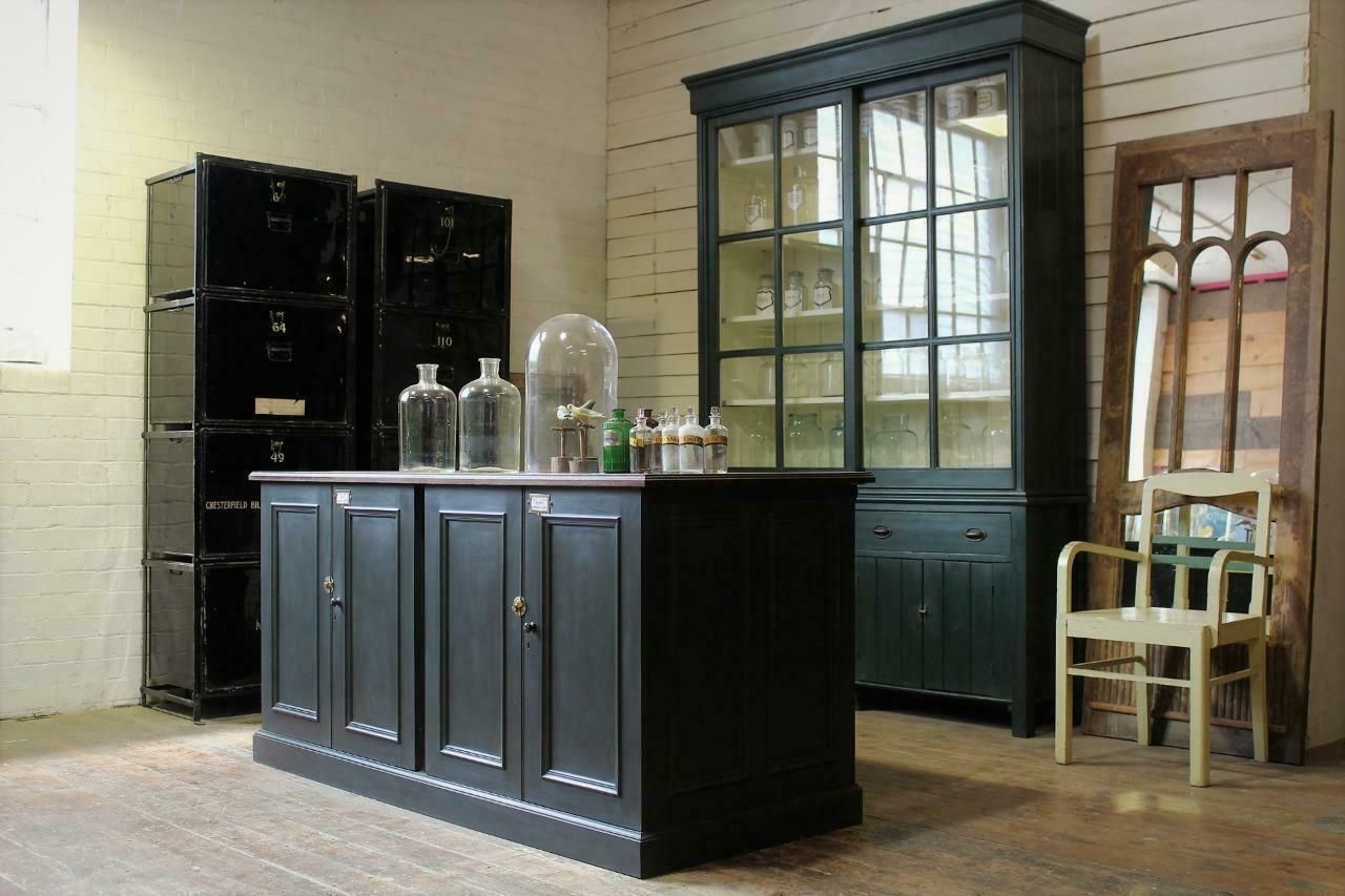 Shop Counter/Museum Cabinet/Kitchen Island From Cambridge Museum Of Zoology photo for sale