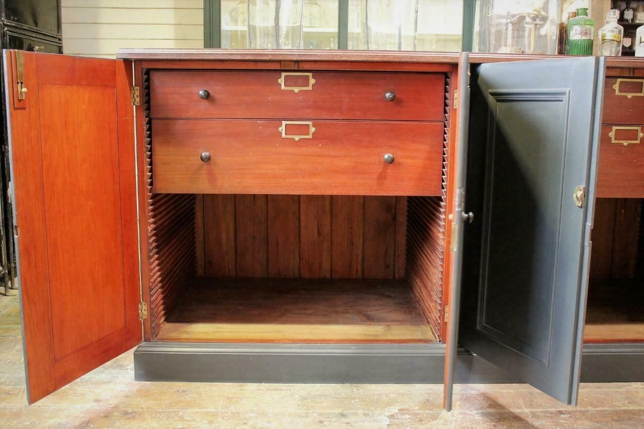 Shop Counter/Museum Cabinet/Kitchen Island From Cambridge Museum Of Zoology photo buy